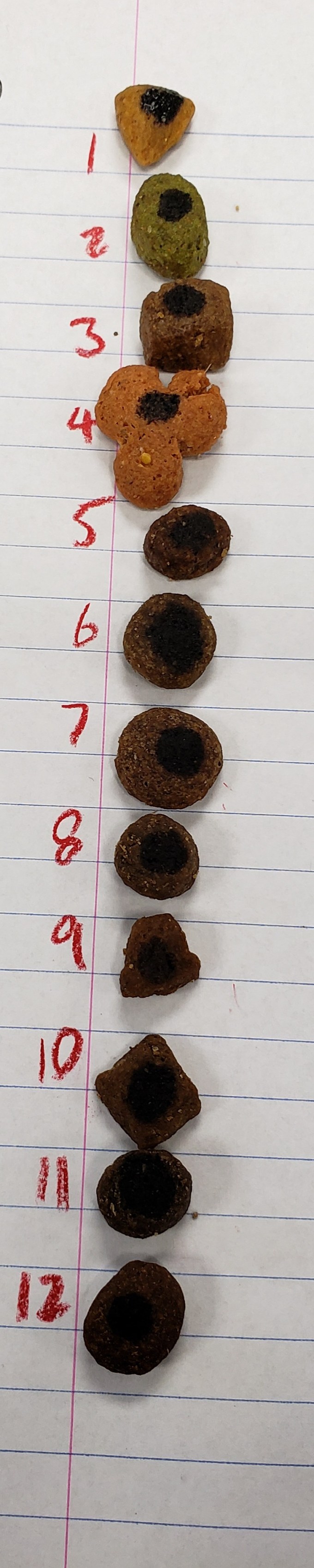 dog food starch results