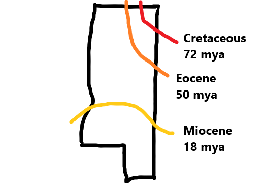 MS Cretaceous Eocene Miocene