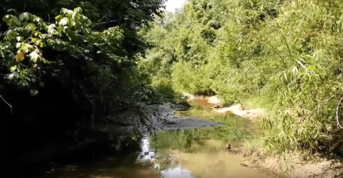 Typical creekbed view where fossil shark teeth are found