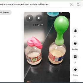 yeast fermentation activity bottles